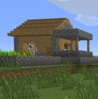 Seed: Village PNJ